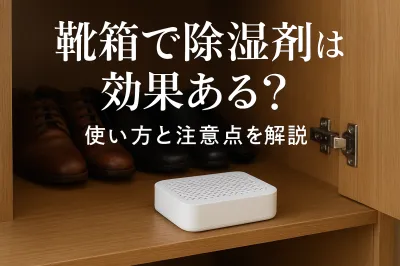 靴箱で除湿剤は効果ある？使い方と注意点を解説