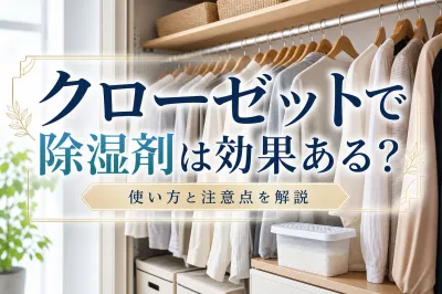 クローゼットで除湿剤は効果ある？使い方と注意点を解説