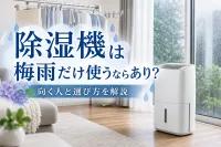 除湿機は梅雨だけ使うならあり？向く人と選び方を解説